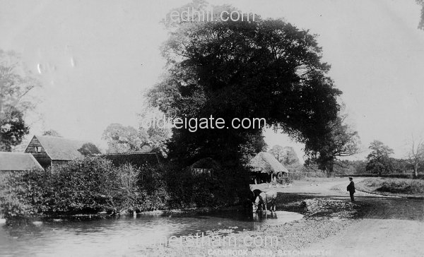Image number 418&prevurl=publishers50