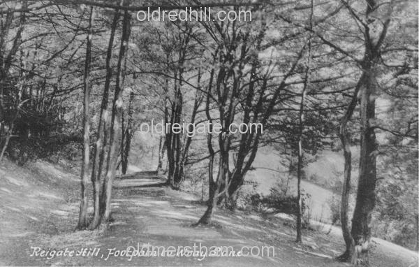 Image number 4376&prevurl=reigatehill