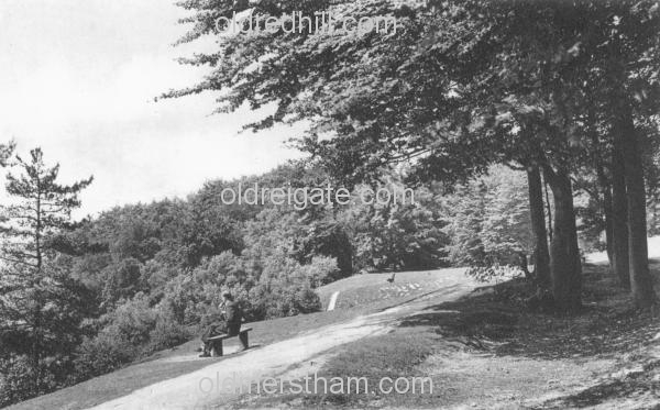 Image number 4378&prevurl=reigatehill