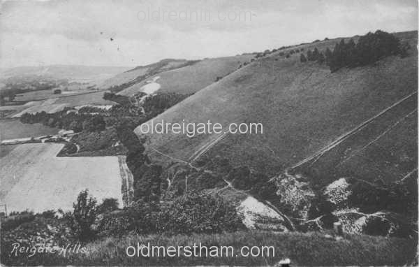 Image number 4384&prevurl=reigatehill