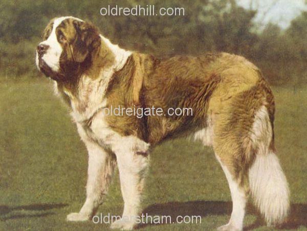 Image number 1&prevurl=year1935
