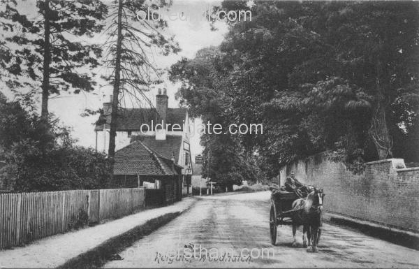 Image number 1077&prevurl=cockshothill