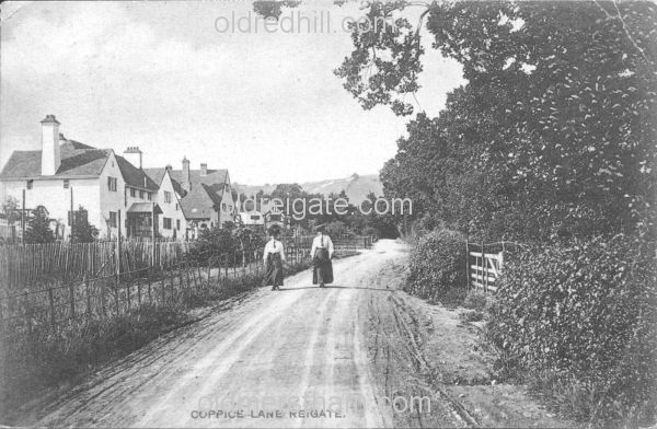 Image number 1119&prevurl=publishers40