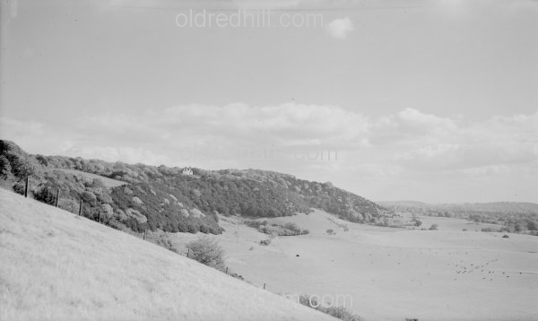 Image number 1192&prevurl=year1940