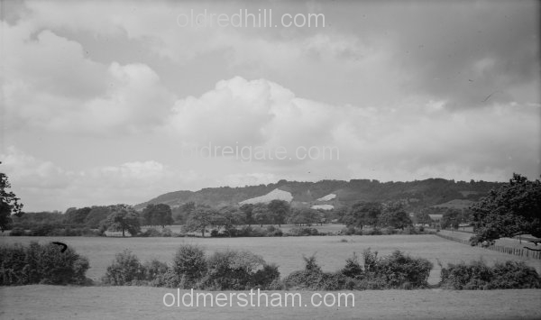 Image number 1237