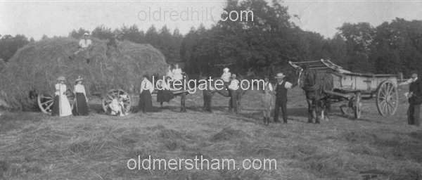 Image number 144&prevurl=year1870