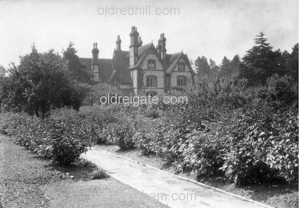 Image number 1796&prevurl=fonthill2