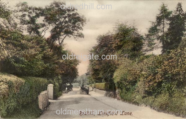 Image number 2797&prevurl=linkfieldlane