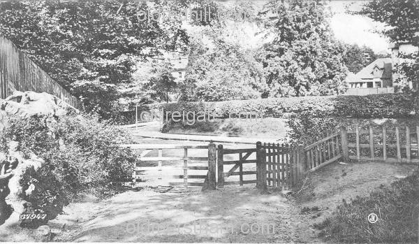 Image number 3479&prevurl=park2