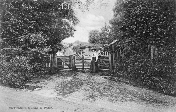 Image number 3480&prevurl=park2