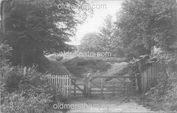 Image number 3481&prevurl=park2