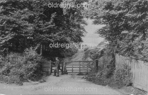 Image number 3482&prevurl=park2
