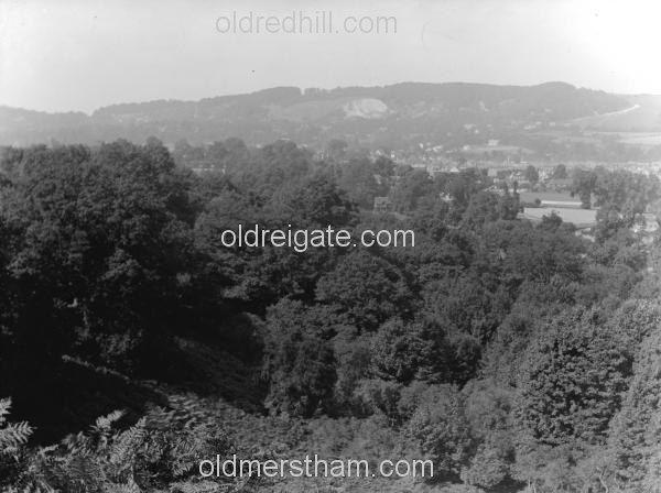 Image number 3516&prevurl=year1924