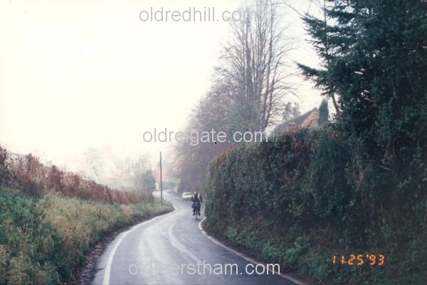 Image number 3530&prevurl=parklane