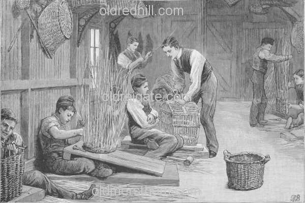 Image number 3615&prevurl=year1893