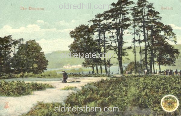 Image number 3976&prevurl=redhillcommon