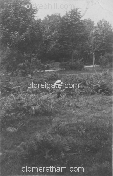 Image number 3985&prevurl=redhillcommon