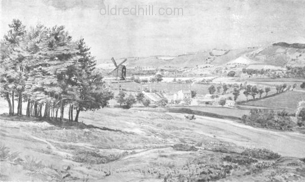 Image number 4015&prevurl=redhillcommon2