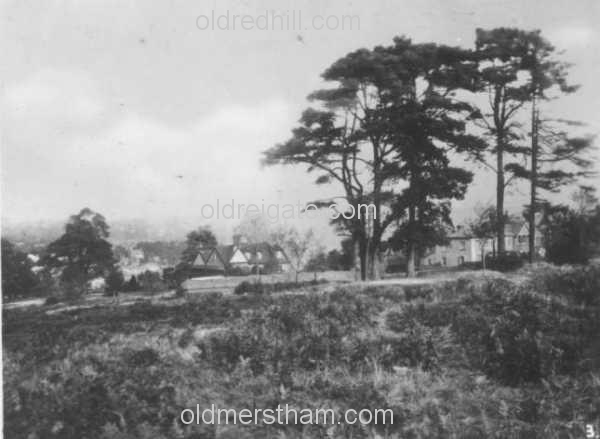 Image number 4022&prevurl=redhillcommon2