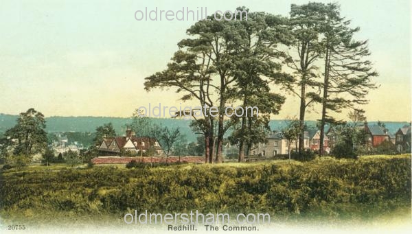 Image number 4023&prevurl=redhillcommon2