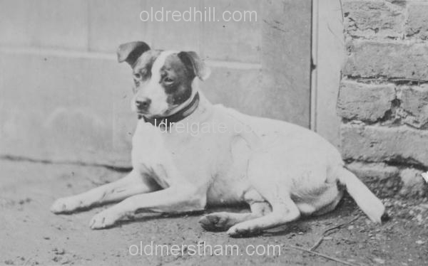 Image number 43&prevurl=year1879