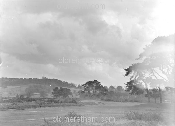 Image number 4350&prevurl=reigateheath6