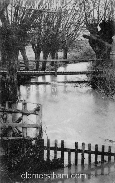 Image number 4963&prevurl=salfordsstream