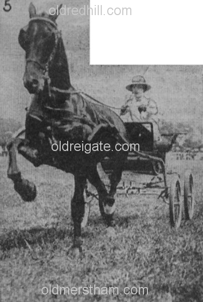 Image number 5120&prevurl=sport