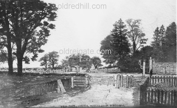 Image number 5885&prevurl=woodhatchroad