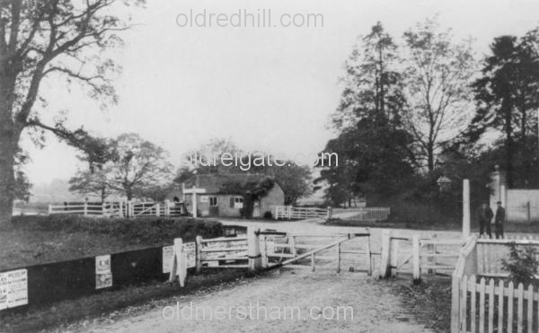 Image number 5886&prevurl=woodhatchroad