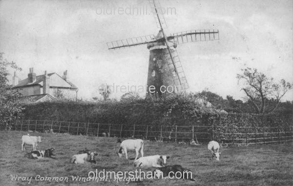 Image number 5898&prevurl=wraycommon