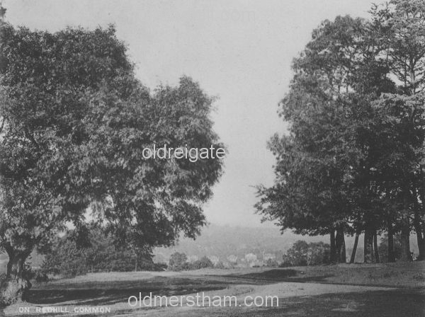 Image number 6270&prevurl=redhillcommon