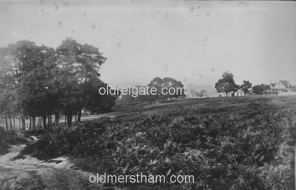 Image number 6291&prevurl=year1884