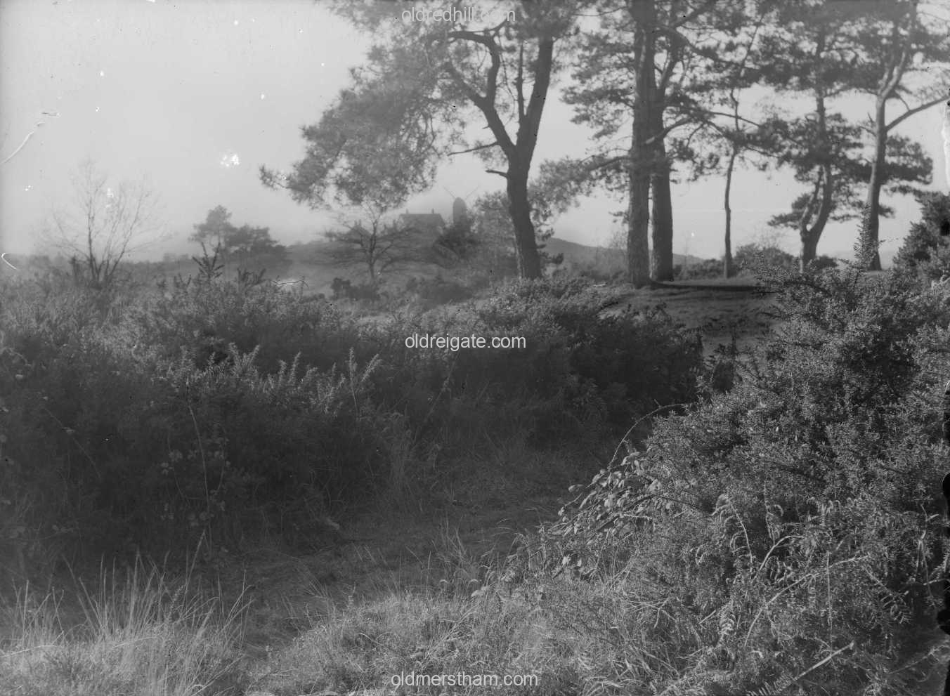 Image number 7635&prevurl=year1924