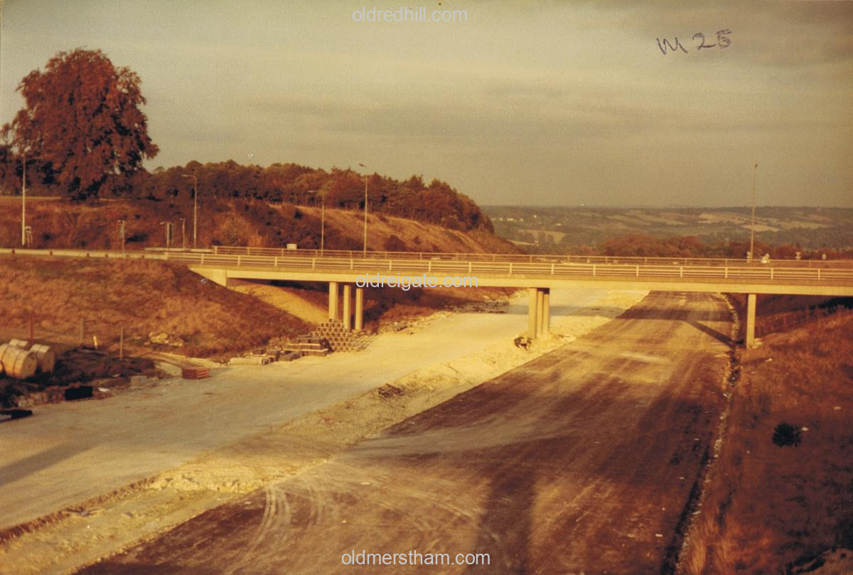 Image number 8286&prevurl=m25