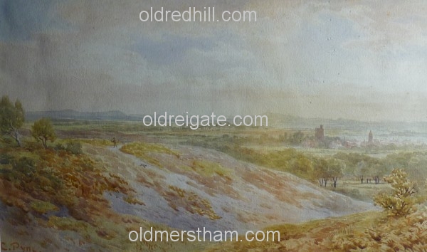 Image number 879&prevurl=chaspyne