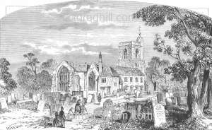 Image number 